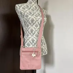 Item thumbnail for item aa7c3c8e-63e1-40d0-a1d7-80fcafce0d34