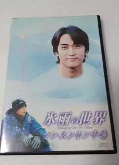 氷雨の世界 DVD ソン・スンホン