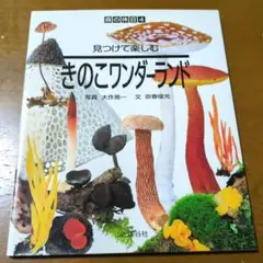 見つけて楽しむきのこワンダーランド　森の休日4