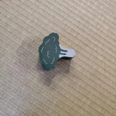 ブロッコリー