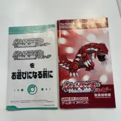 ポケモン　取扱説明書