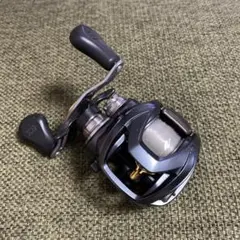 ダイワSTEEZスティーズ a tw 右巻き