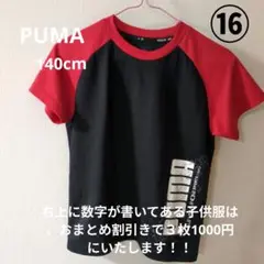 Item thumbnail for item 724a9ee2-569e-4cb6-8b0b-cf370a79ef33