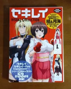 【初版】セキレイ ビジュアルコレクション