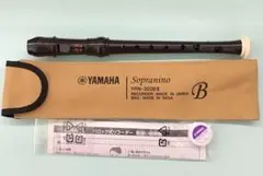 Item thumbnail for item 450f965a-f5dc-4a2a-8af2-9f21bbc24479