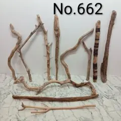 Item thumbnail for item ca83dc9e-7de2-49a8-b466-628e1494619b