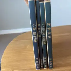 【お値下げ】新選名著復刻全集　4冊セット