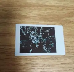 Item thumbnail for item 7ea3bc68-5195-42fb-a686-27bee4612c04