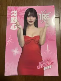 【非売品】浅野こころ 2025TRE台北國際成人展　会場限定クリアファイル