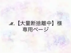 ℳ.【大量断捨離中】様　専用ページ