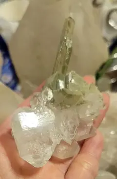 神聖　ガネーシュヒマール産 ヒマラヤ水晶ポイント クローライト虹あり