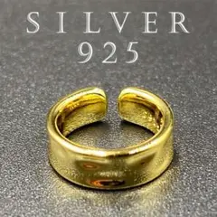 フェイクピアス 男女兼用 イヤリング イヤーカフ シルバー925 リング 89F