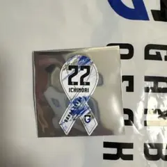 ガンバ大阪　一森純選手ミニマグネット