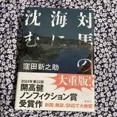 対馬の海に沈む　窪田新之助著