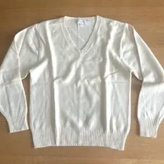 Item thumbnail for item 2262fb0a-128f-4508-b89d-165a572aa4f9