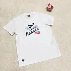 【used】CHUMS × Hakuba プリントTシャツ M