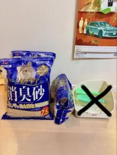 Item thumbnail for item c884bb69-d7aa-4c26-80bf-4fc5b86b9f90