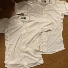 Item thumbnail for item 811f6901-5d76-4b37-abb0-bfb0f55db5db