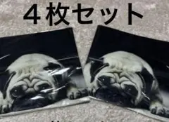 パグ クッションカバー 4枚セット 黒