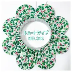 Item thumbnail for item 081cd2d2-dc74-46b5-ba19-c3d2805f197a