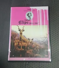 Salyu Clips 2004-2007 DVD