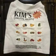 Item thumbnail for item d3d76732-9e1f-4fd3-9b89-1f1660be7493