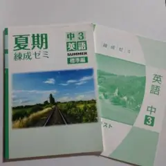 中3英語 夏期練成ゼミ 標準編+単元別テスト 育伸社 未使用品 送料無料！