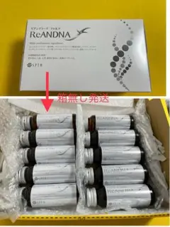 Item thumbnail for item ae5f0680-ccec-487b-8d2d-3043c42aa2e5