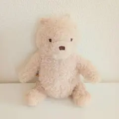 100エーカーの森購入 ディズニー クラシックプー ぬいぐるみと書籍セット