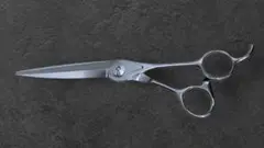 Item thumbnail for item 839e8595-a164-4581-a9f2-7c2c07ab5cbc