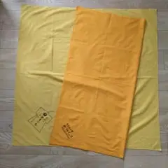 Item thumbnail for item f05a78db-e85d-4787-a30c-c1e296b458dd