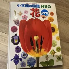 【美品】小学館の図鑑 neo花 DVD無し / 本格図鑑