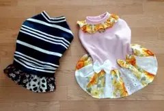 Item thumbnail for item 601b171e-7abc-4335-b005-12cb11e988cb