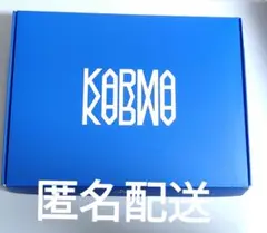 straykids KARMA アルバム 通常盤
