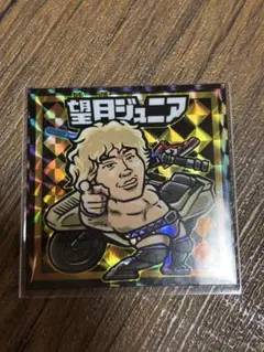 ドラゴンゲート　プリズムシール　望月ジュニア