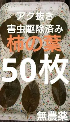 柿の葉 50枚 アク抜き 害虫駆除済み 柿 葉 めだか 越冬用