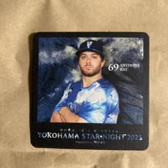 YOKOHAMA STAR NIGHT 2025 ANTHONY KAY