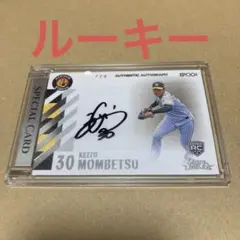 Item thumbnail for item 011f415b-5f5c-4ed7-b0b3-724025bcdb5c