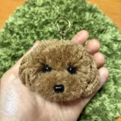 ＊うるうるトイプードル　毛糸キーホルダー＊ぬいぐるみマスコット　薄茶ブラウン　犬