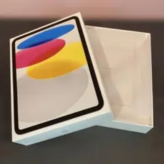 （533）【空箱】Apple iPad (第10世代)