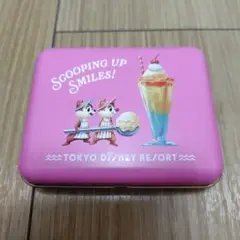 ディズニーランド　サニーサニーサマー　チップ　デール