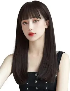 【即日発送】ウィッグ ストレート セミロング フルウィッグ 小顔 耐熱性 髪