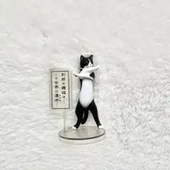帰ってきた！厨二猫 ハチワレ