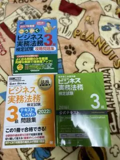 Item thumbnail for item 2ef4f07a-244c-47d6-a0ca-8881fa16234c