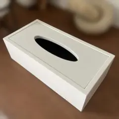 ZARA HOME ティッシュボックス