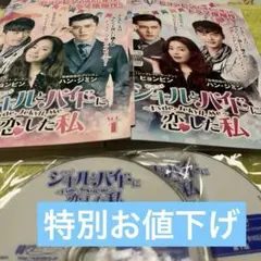 陽炎の辻 2・3 居眠り磐音 江戸双紙」DVD 全10巻 山本耕史 時代