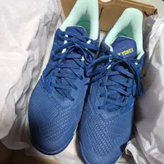 YONEX パワークッションアドアクセル　メンGC 27cm