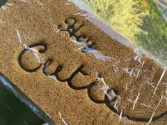 Item thumbnail for item 1c4b156b-ed90-428c-8d33-cf3c7fdebd97