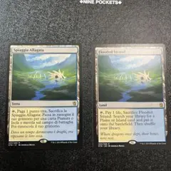 溢れかえる岸辺/Flooded Strand MTG 英語　2枚セット