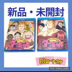 Item thumbnail for item 9f7a642d-98c3-4f32-9521-5b3294f2c125